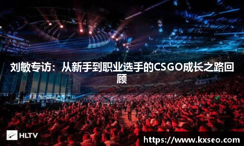 刘敏专访：从新手到职业选手的CSGO成长之路回顾